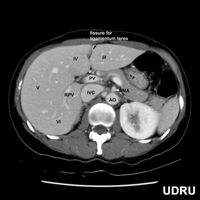 Department of Diagnostic Radiology